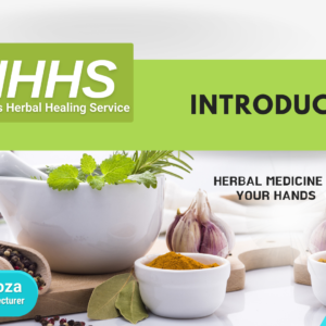 Herbal Medicine in Your Hands