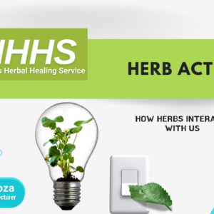 How Herbs Interact With Us