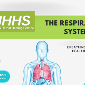 Breathing In Health