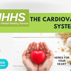 Herbs For Your Heart