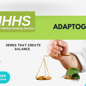 Herbs That Create Balance