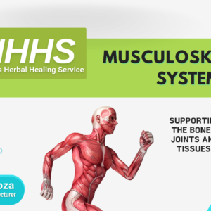 Supporting The Bones, Joints and Tissues